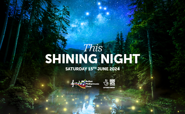 This Shining Night